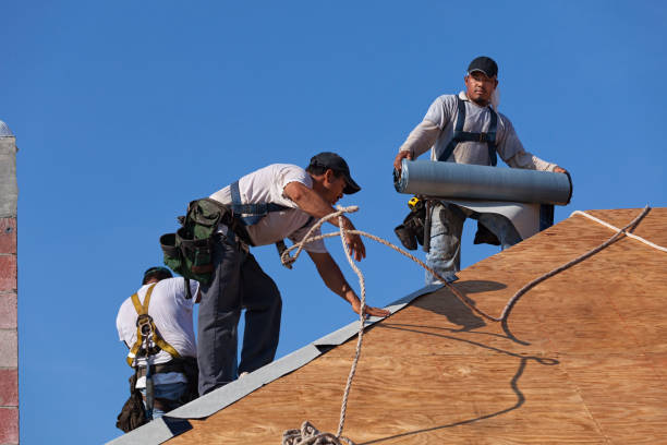 Best Local Roofing Companies  in Hargill, TX
