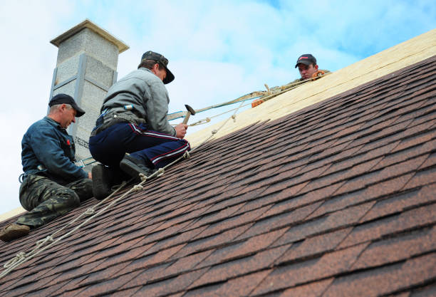 Best Gutter Installation and Roofing  in Hargill, TX